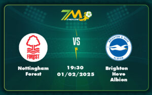 nottingham forest brighton hove albion 01 02 ngoai hang anh - Nhận định soi kèo Nottingham Forest vs Brighton Hove Albion Cuộc đối đầu đầy kịch tính