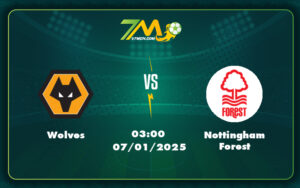 wolves nottingham forest 07 01 ngoai hang anh - Nhận định soi kèo Wolves vs Nottingham Forest Cuộc chiến không cân sức