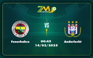 fenerbahce anderlecht 14 02 c2 - Soi kèo Fenerbahce vs Anderlecht 00:45 ngày 14/02 - Cúp C2 Châu Âu